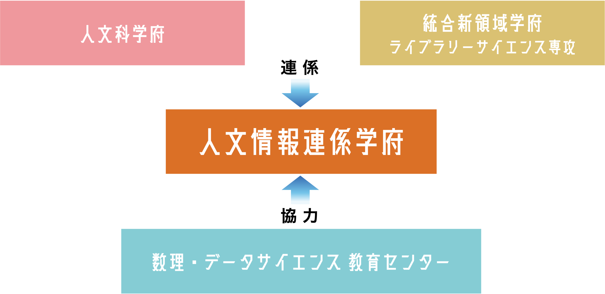 関連組織の連係